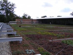 Garden Roofs & PV Panels